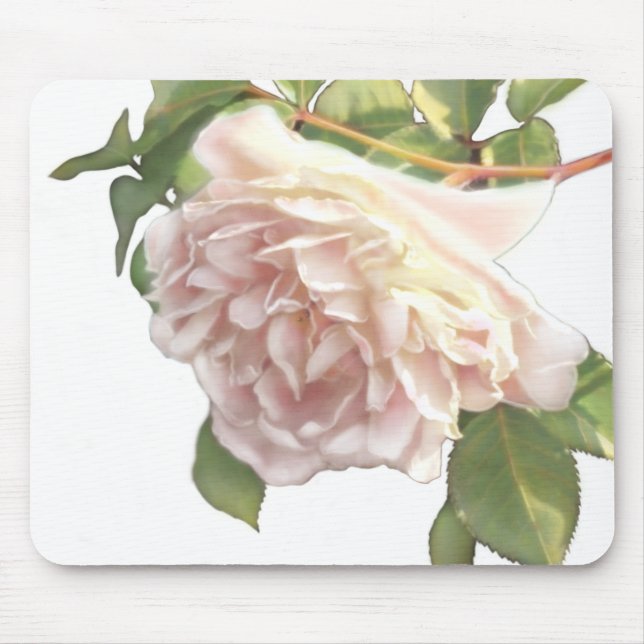 Blushing Ivory Peach Rose Mouse Pad (Front)