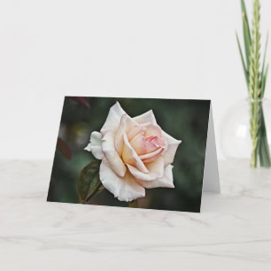 Blushing Pink Rose Art Card
