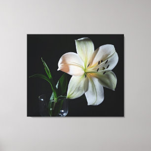 Blushing White Lily Wrapped Canvas Print