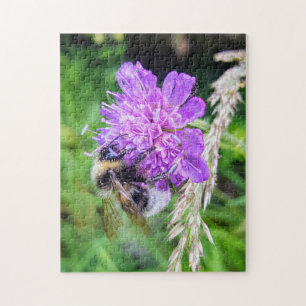 Blütenglück – Naturpuzzle mit Hummel auf Skabiose Jigsaw Puzzle