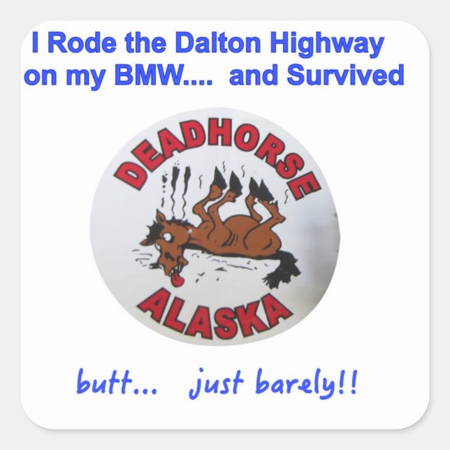 BMW Dalton Highway Survivor Square Sticker (Front)