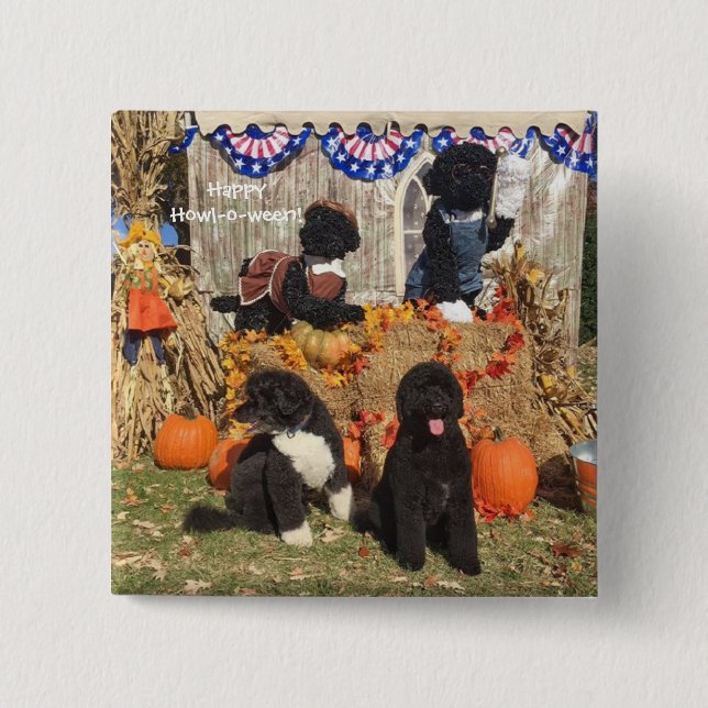Bo and Sunny Halloween - Pin (Front)