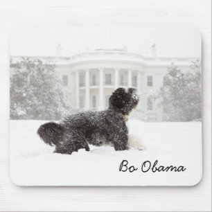 Bo Obama Mouse Pad