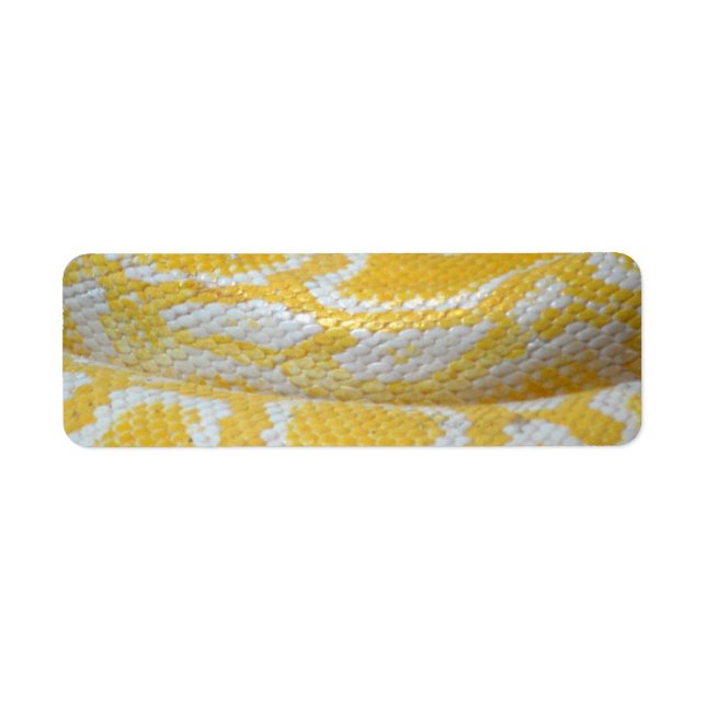 BOA BLANC JAUNE TEXTURES DE PEAU SNAKE REPTILES PA (Devant)