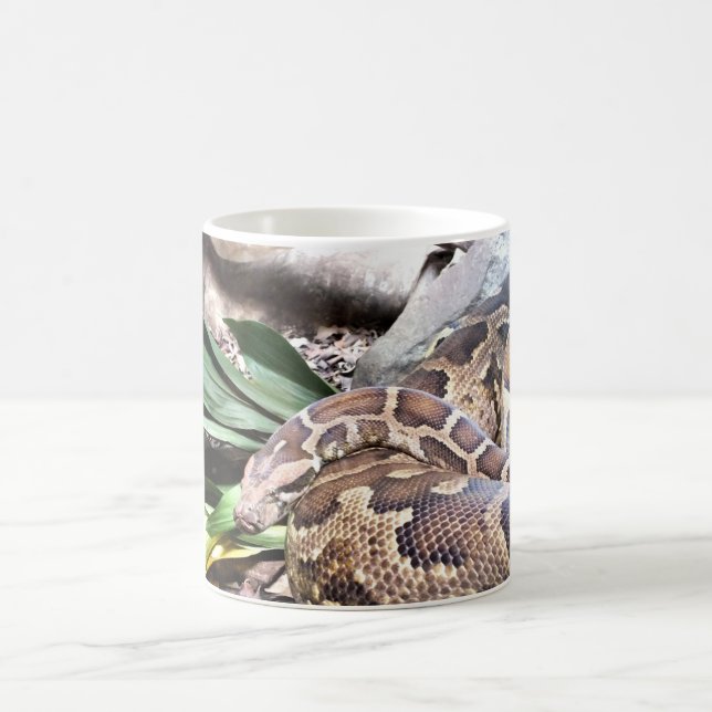 Boa constrictor coffee mug (Center)