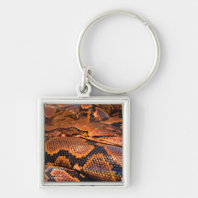 Boa Constrictor Keychain (Front)