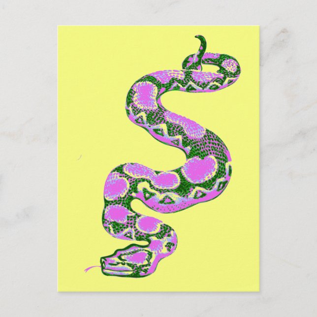 Boa Constrictor Pop Art Postcard (Front)