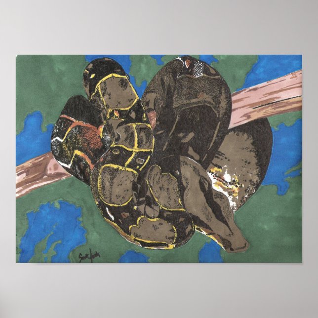 Boa Constrictor Poster (Front)