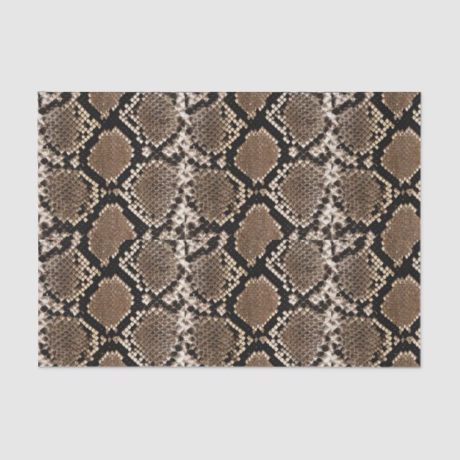 Boa Constrictor Snakeskin Tissue Paper (Front)
