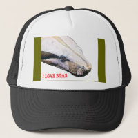 boa, I LOVE BOAS