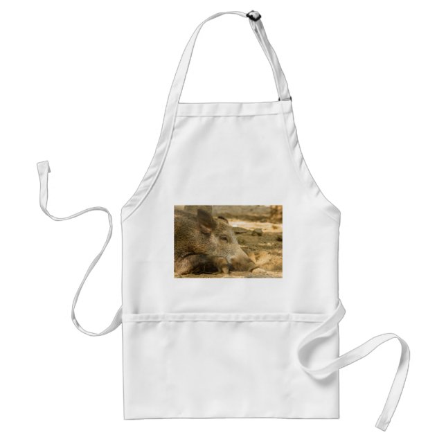 boar on standard apron (Front)