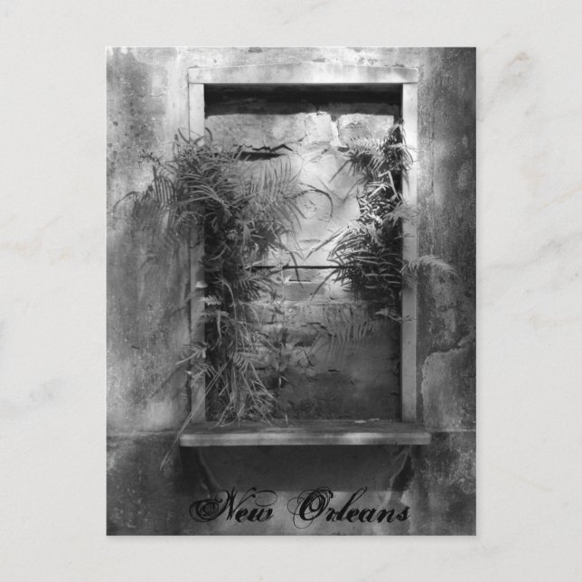 Boarded Window Postcard (Front)