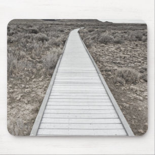 Boardwalk through the desert mouse pad