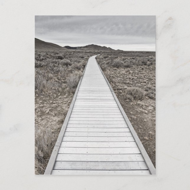 Boardwalk through the desert postcard (Front)