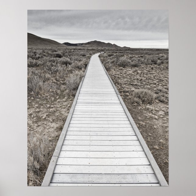 Boardwalk through the desert poster (Front)