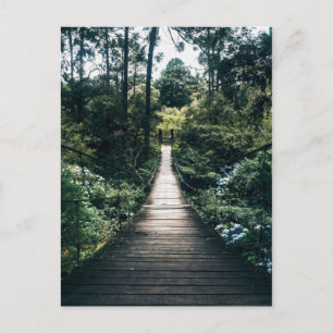 Boardwalk Through The Forest Postcard
