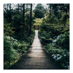 Boardwalk Through The Forest Poster