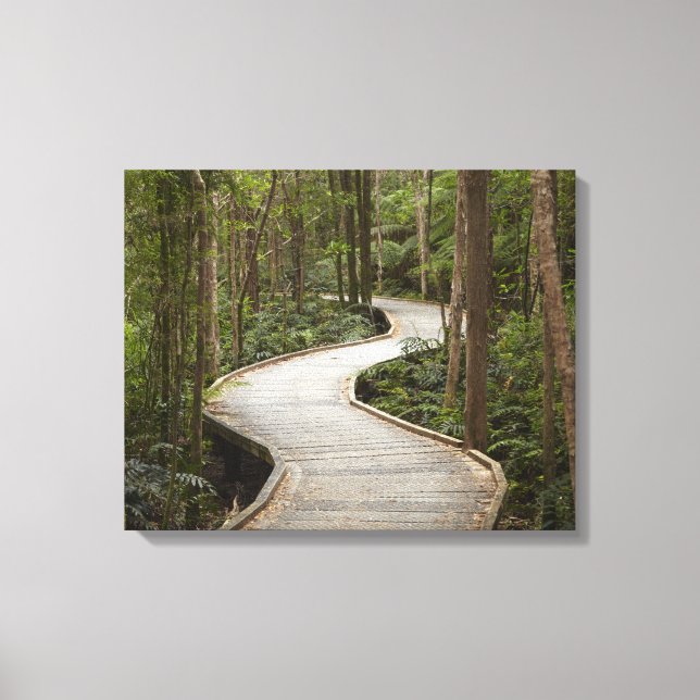 Boardwalk to Nelson Falls, Franklin - Gordon Canvas Print (Front)