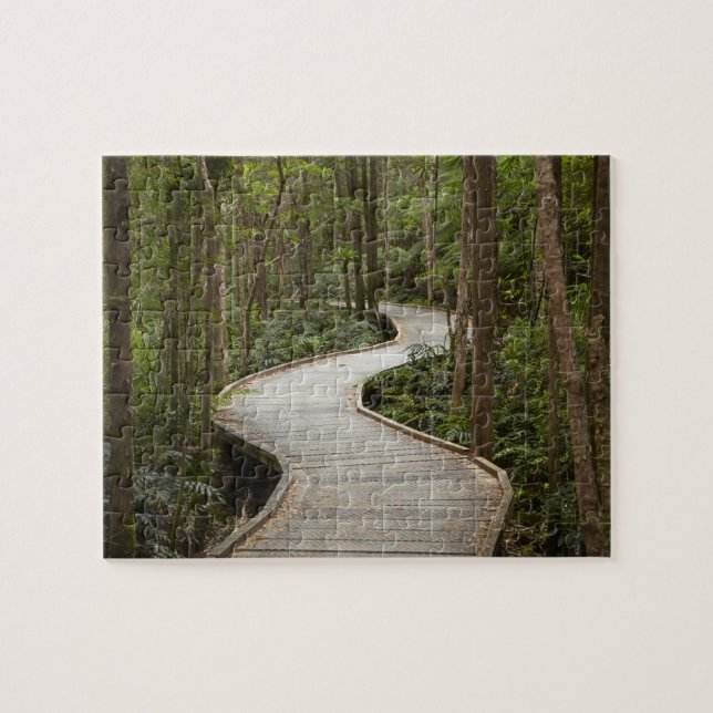 Boardwalk to Nelson Falls, Franklin - Gordon Jigsaw Puzzle (Horizontal)