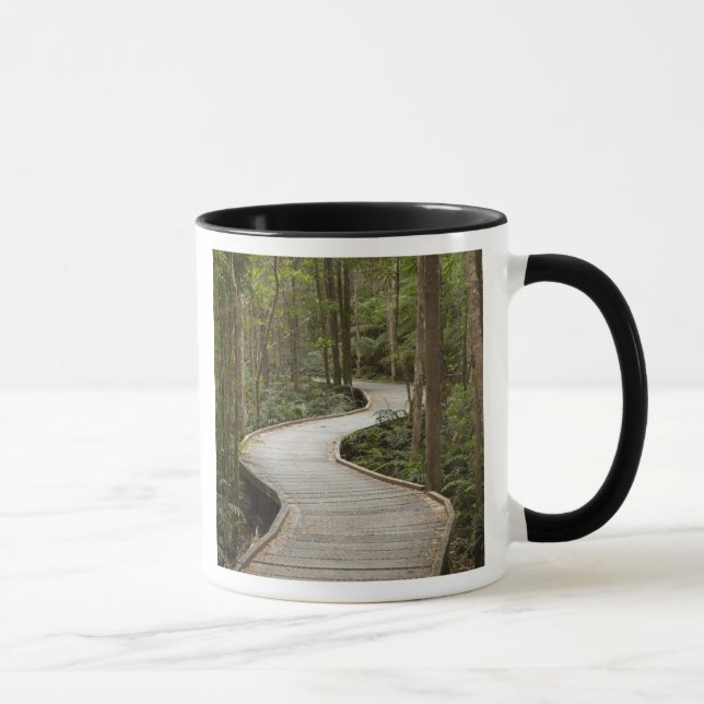 Boardwalk to Nelson Falls, Franklin - Gordon Mug (Right)