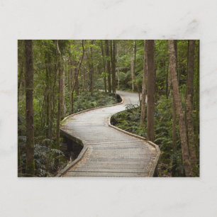 Boardwalk to Nelson Falls, Franklin - Gordon Postcard
