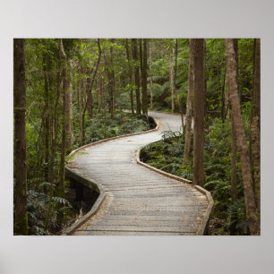 Boardwalk to Nelson Falls, Franklin - Gordon Poster