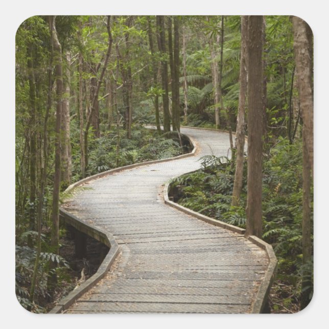 Boardwalk to Nelson Falls, Franklin - Gordon Square Sticker (Front)