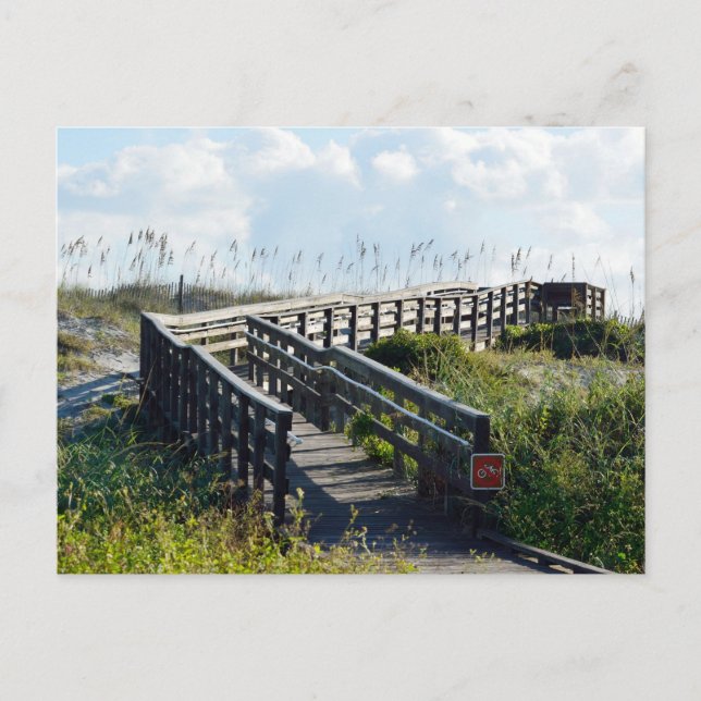 Boardwalk to the beach postcard (Front)