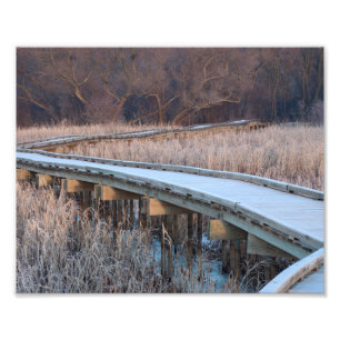 Boardwalk Traverse into the Woods Photo Print
