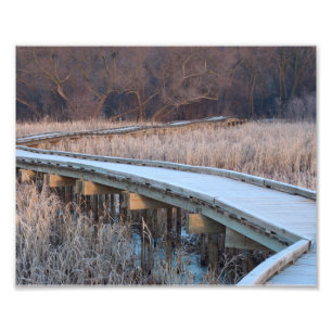 Boardwalk Traverse into the Woods Photo Print