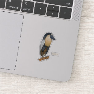 Boat-billed heron bird cartoon illustration 