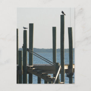 Boat Docks at Dusk Postcard