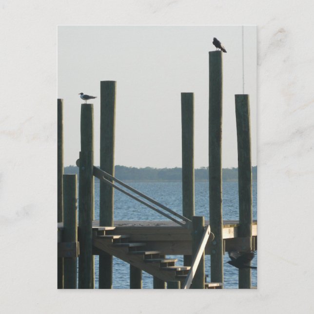 Boat Docks at Dusk Postcard (Front)