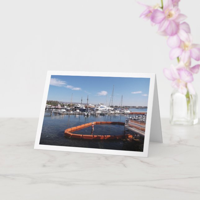 Boat Harbour in Paphos, Cyprus Card (Orchid)