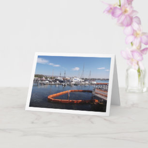 Boat Harbour in Paphos, Cyprus Card