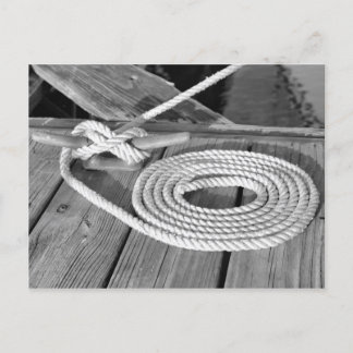 Boat Line Postcard