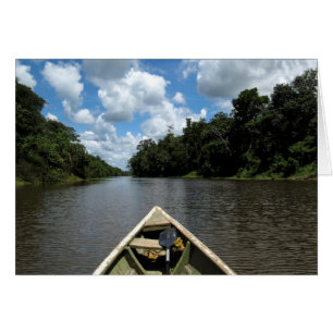 Boating down the Amazon