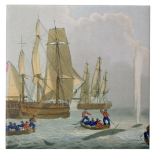 Boats Approaching a Whale, engraved by Matthew Dub Tile