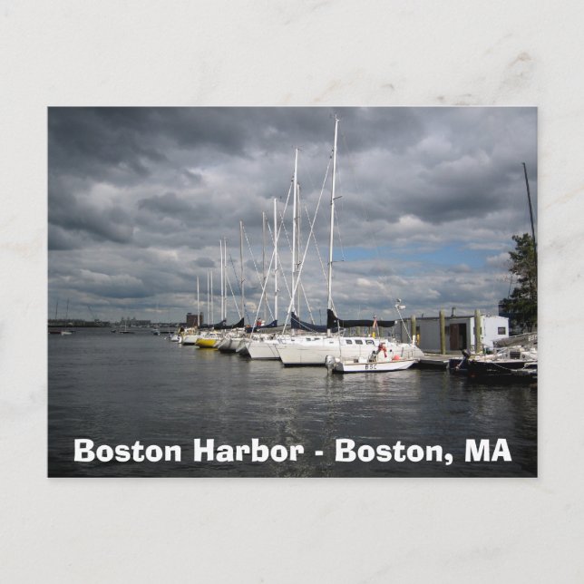 Boats in Boston Harbour Postcard (Front)