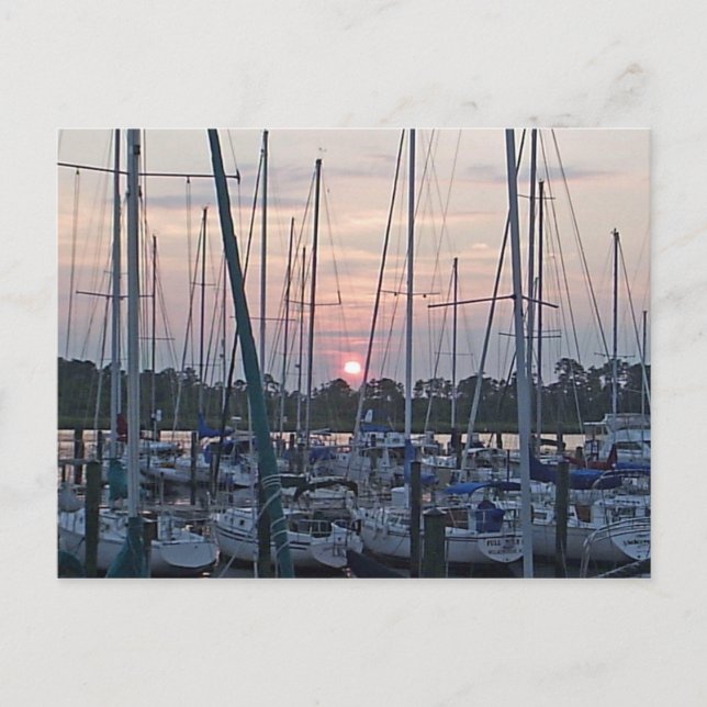 Boats in New Bern Postcard (Front)
