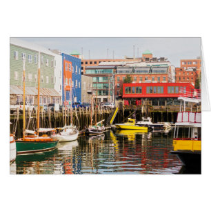 Boats Moored   Portland, Maine