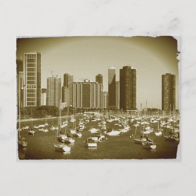 Boats parked at Lake Michigan in Chicago. Postcard (Front)