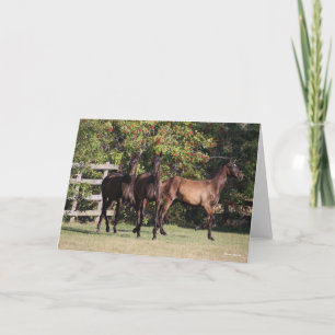 Bob Langrish   3 Andalucian Youngsters Standing Card