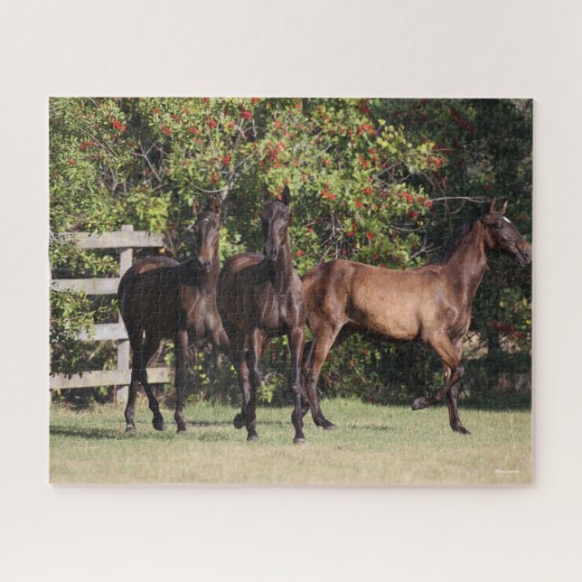 Bob Langrish | 3 Andalucian Youngsters Standing Jigsaw Puzzle (Horizontal)