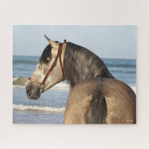 Bob Langrish   Andalucian Stallion Headshot Sea Jigsaw Puzzle