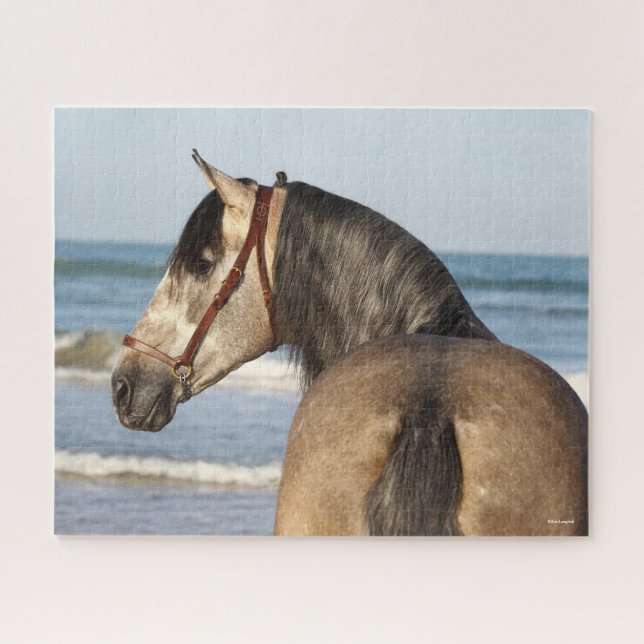 Bob Langrish | Andalucian Stallion Headshot Sea Jigsaw Puzzle (Horizontal)