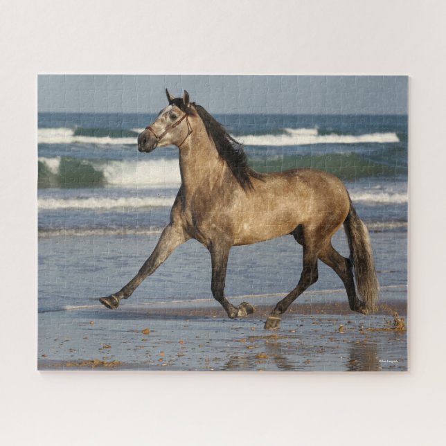 Bob Langrish Andalucian Stallion Running On Beach Jigsaw Puzzle (Horizontal)