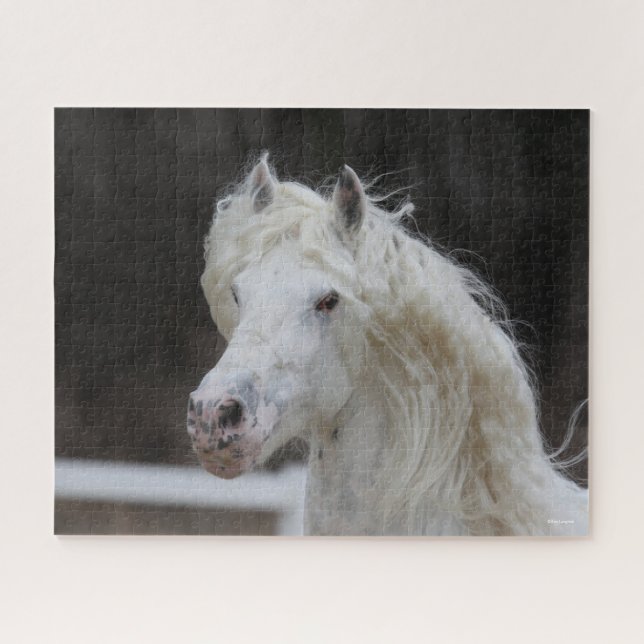 Bob Langrish Appaloosa Friesian Stallion Headshot Jigsaw Puzzle (Horizontal)