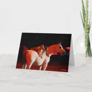 Bob Langrish   Arab Horse Standing With Dogs Card