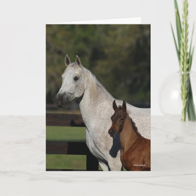 Bob Langrish | Arab Mare and Foal headshot Card (Front)